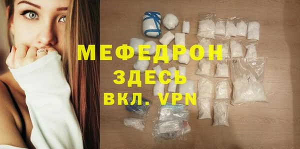 дмт Богданович
