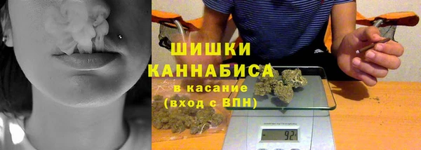 дмт Богданович
