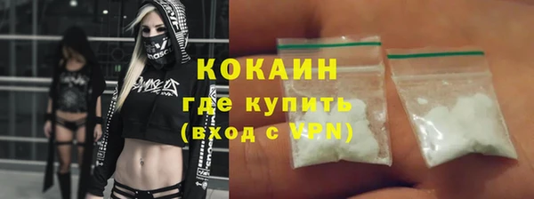дмт Богданович