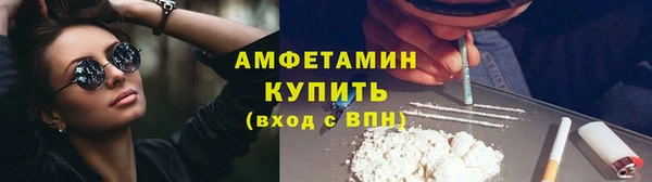 дмт Богданович