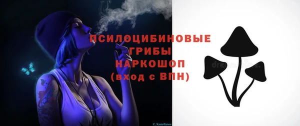 дмт Богданович
