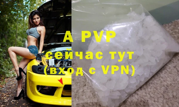дмт Богданович