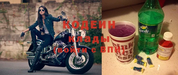 дмт Богданович