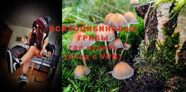 дмт Богданович