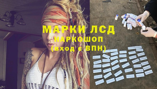 дмт Богданович