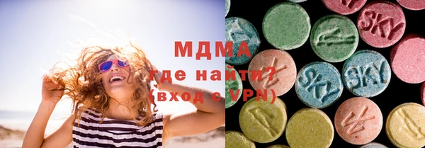 дмт Богданович