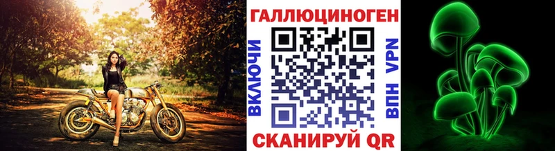 shop какой сайт  закладка  Гусиноозёрск  Галлюциногенные грибы мухоморы  ссылка на мегу вход 